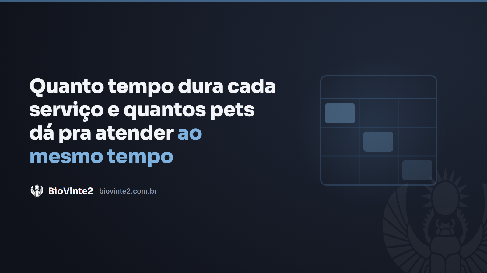 Quanto tempo dura cada serviço e quantos pets dá pra atender ao mesmo tempo