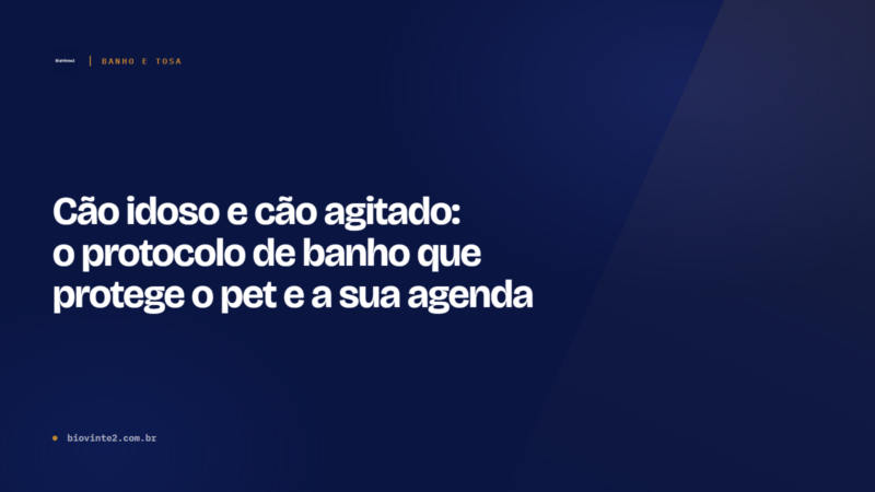 Cão idoso e cão agitado: o protocolo de banho seguro