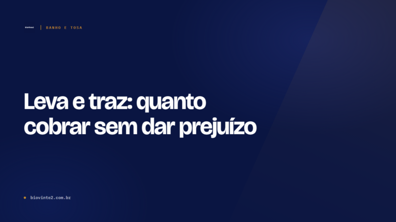 Leva e traz: quanto cobrar sem dar prejuízo