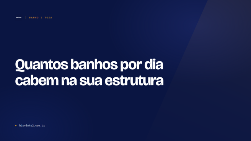 Quantos banhos por dia cabem na sua estrutura