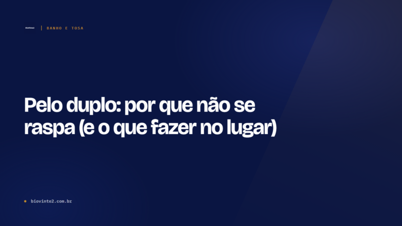 Pelo duplo: por que não se raspa (e o que fazer no lugar)