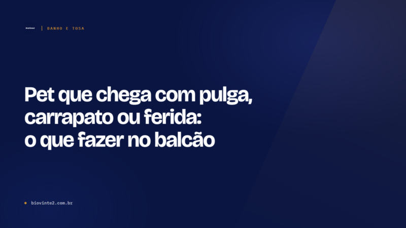 Pet com pulga, carrapato ou ferida: o que fazer no balcão