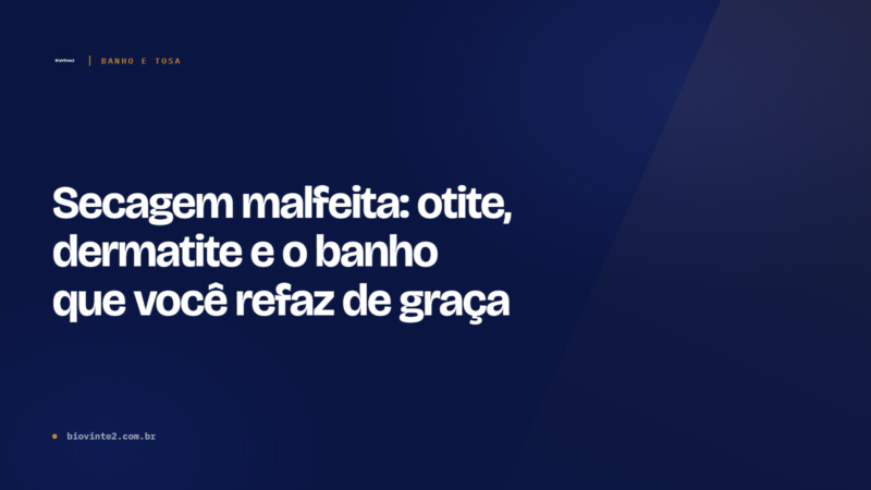 Secagem malfeita: otite, dermatite e banho refeito de graça