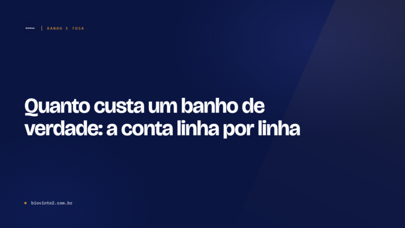 Quanto custa um banho de verdade: a conta linha por linha